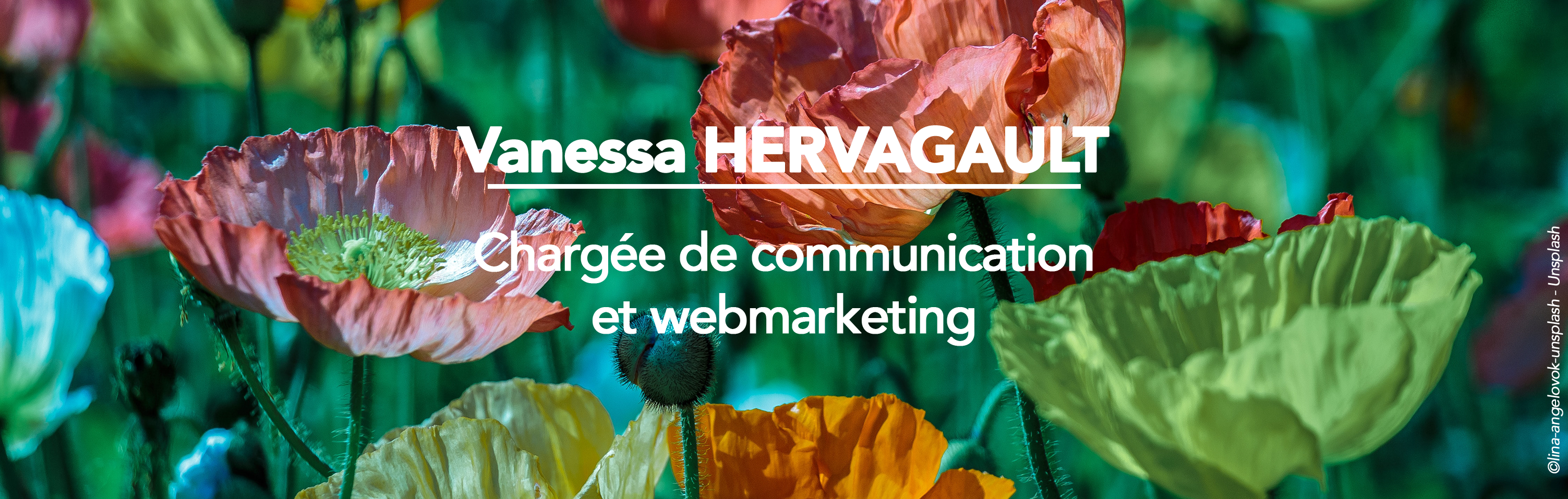Header- Site web - Vanessa HERVAGAULT